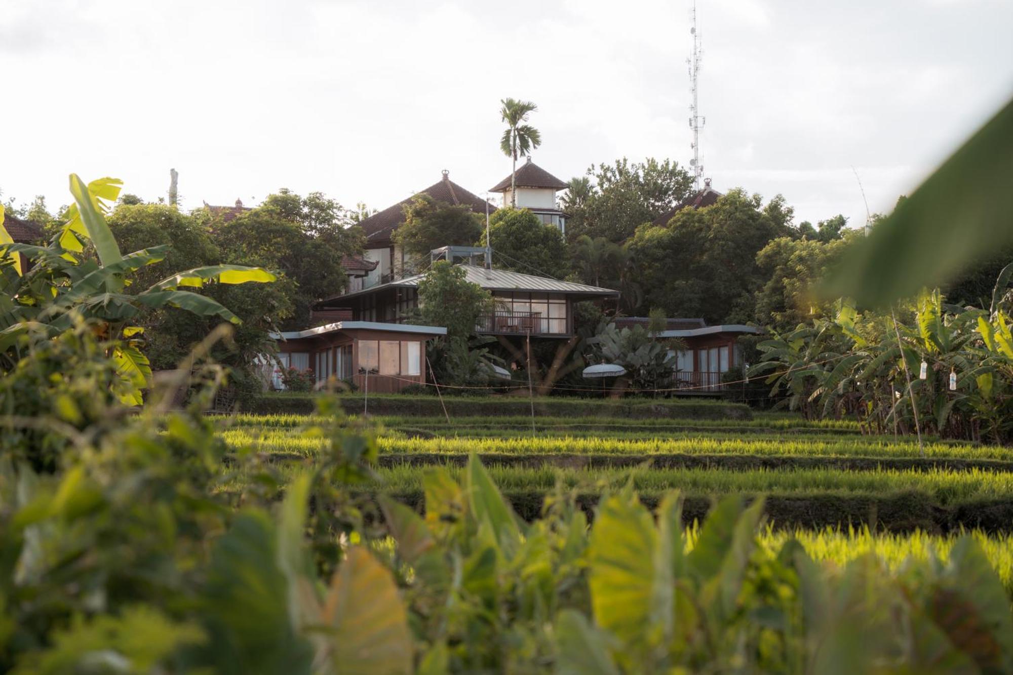 Gruen Ubud Exterior photo