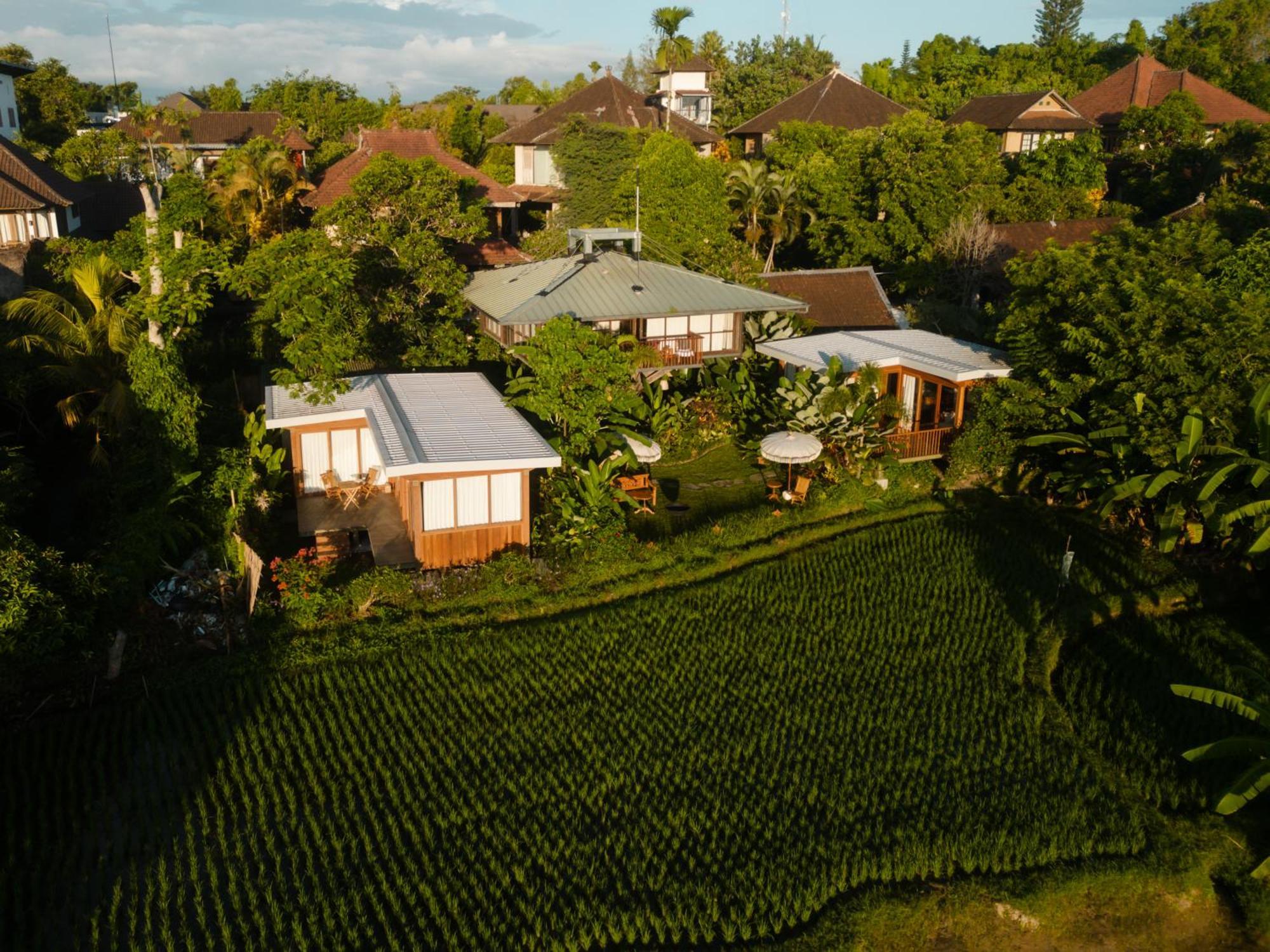Gruen Ubud Exterior photo